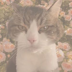 Meet your Posher, Joelle